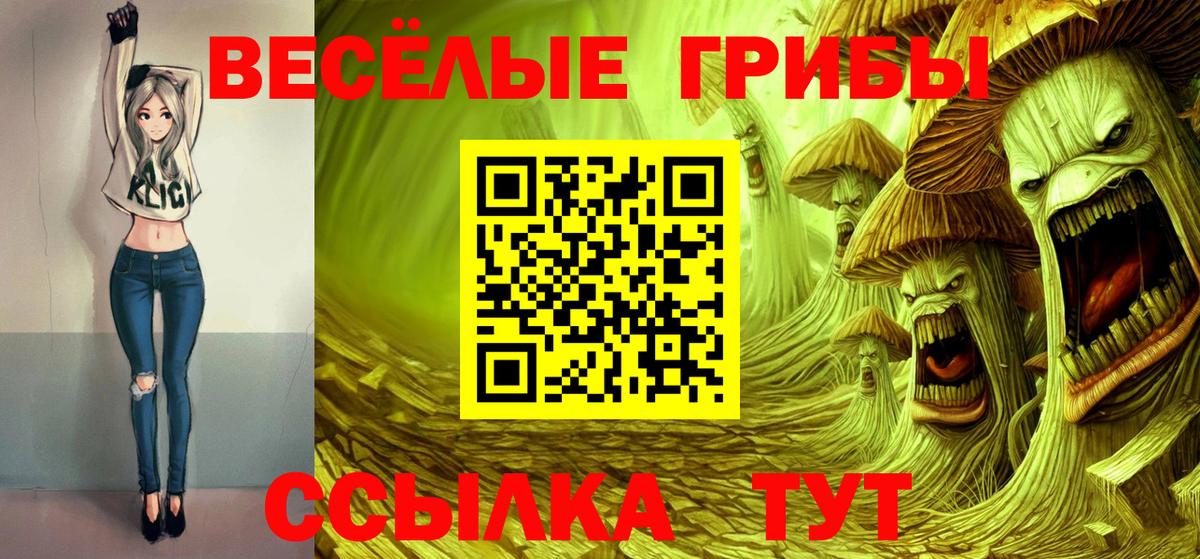 Новочебоксарск  Галлюциногенные грибы мухоморы  Галлюциногенные грибы Psilocybe  Вход с VPN 